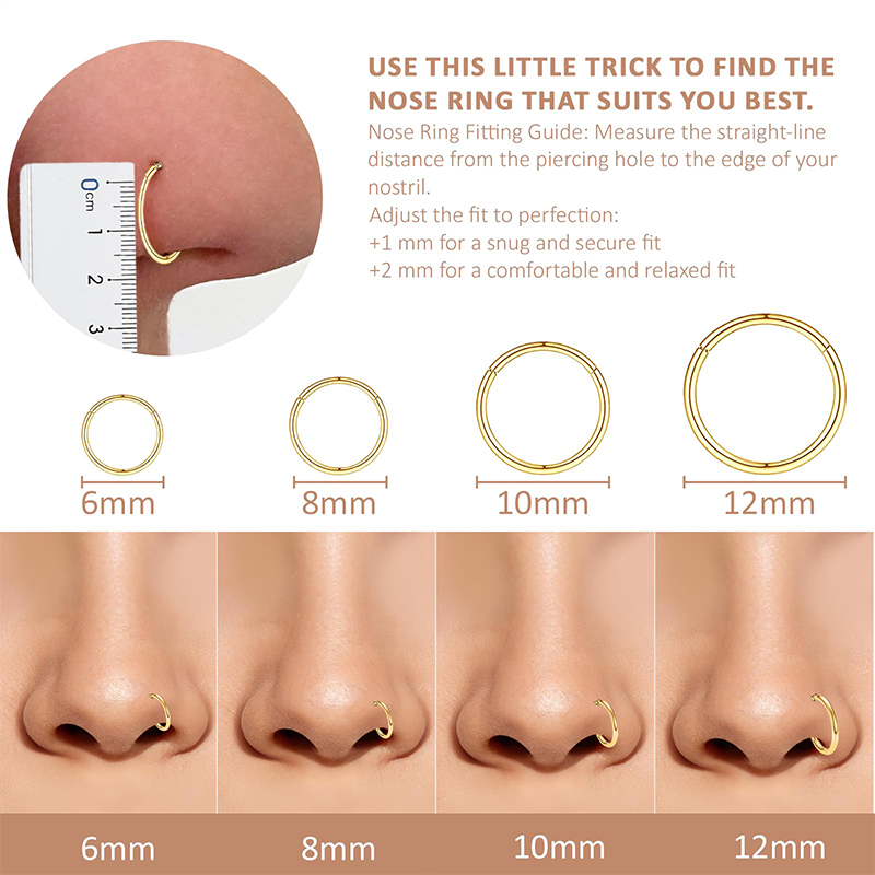16G 316L Surgical Steel Hinged - Body Jewelry Nose Studs review and price
